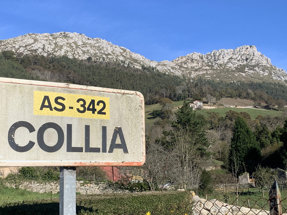 caldera de biomasa asturias